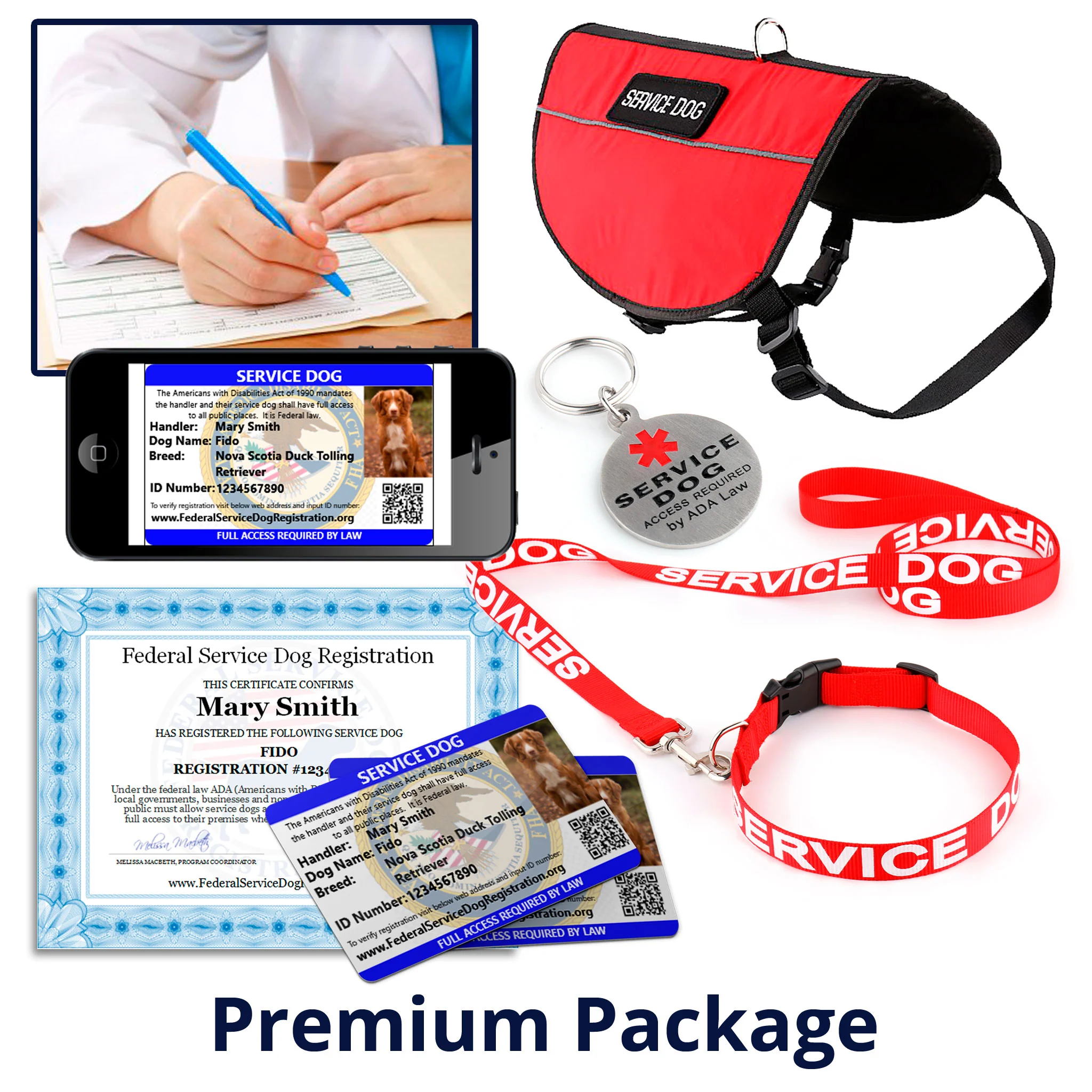 Letters & Packages with Letters